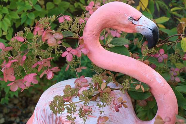 :  Trendy?  Timeless?  Flamingos are fun reminders of Mom for author Dee Dee Raap.